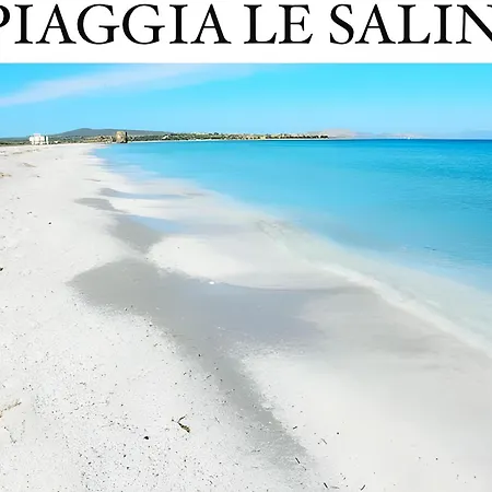 Appartement Casa Greis